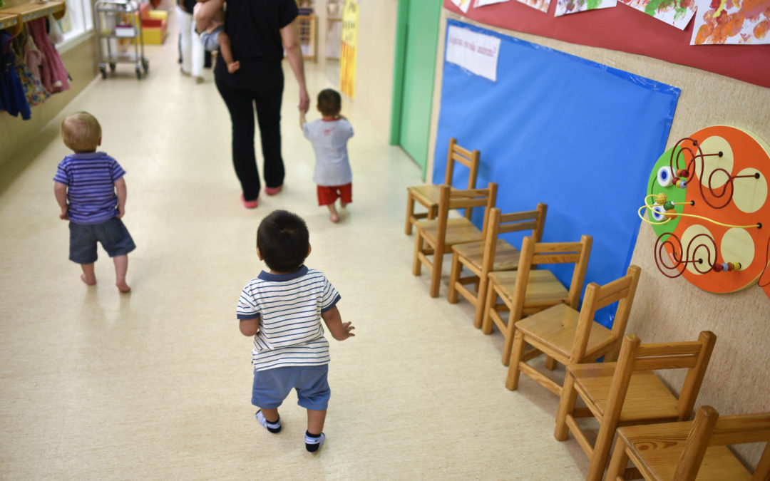 Suspensión proceso selectivo para la constitución de una bolsa de empleo Centro Infantil «Zarapico», Casar de Cáceres.
