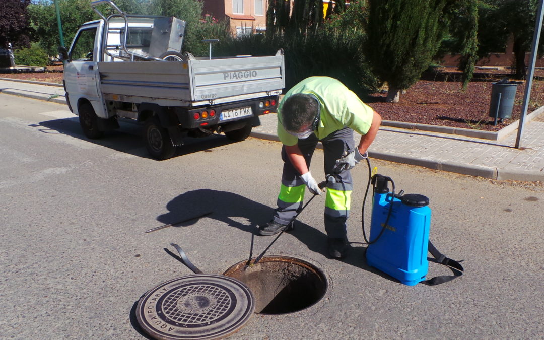 AYUNTAMIENTO DE MORALEJA, Oferta de Empleo Público de Peón/a Centro Desinfección correspondiente al ejercicio 2019.