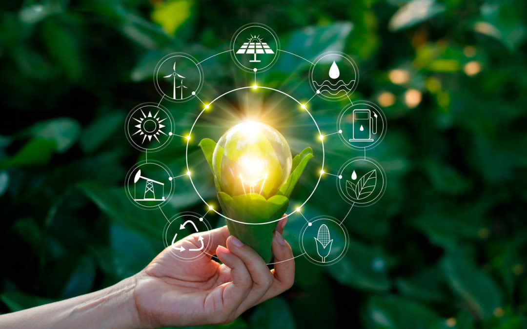 Resolución de la Excma. Diputación Provincial de Cáceres de fecha 15 de diciembre de 2019 por la que se constituye la bolsa de empleo temporal de Técnico/a en Desarrollo Sostenible.